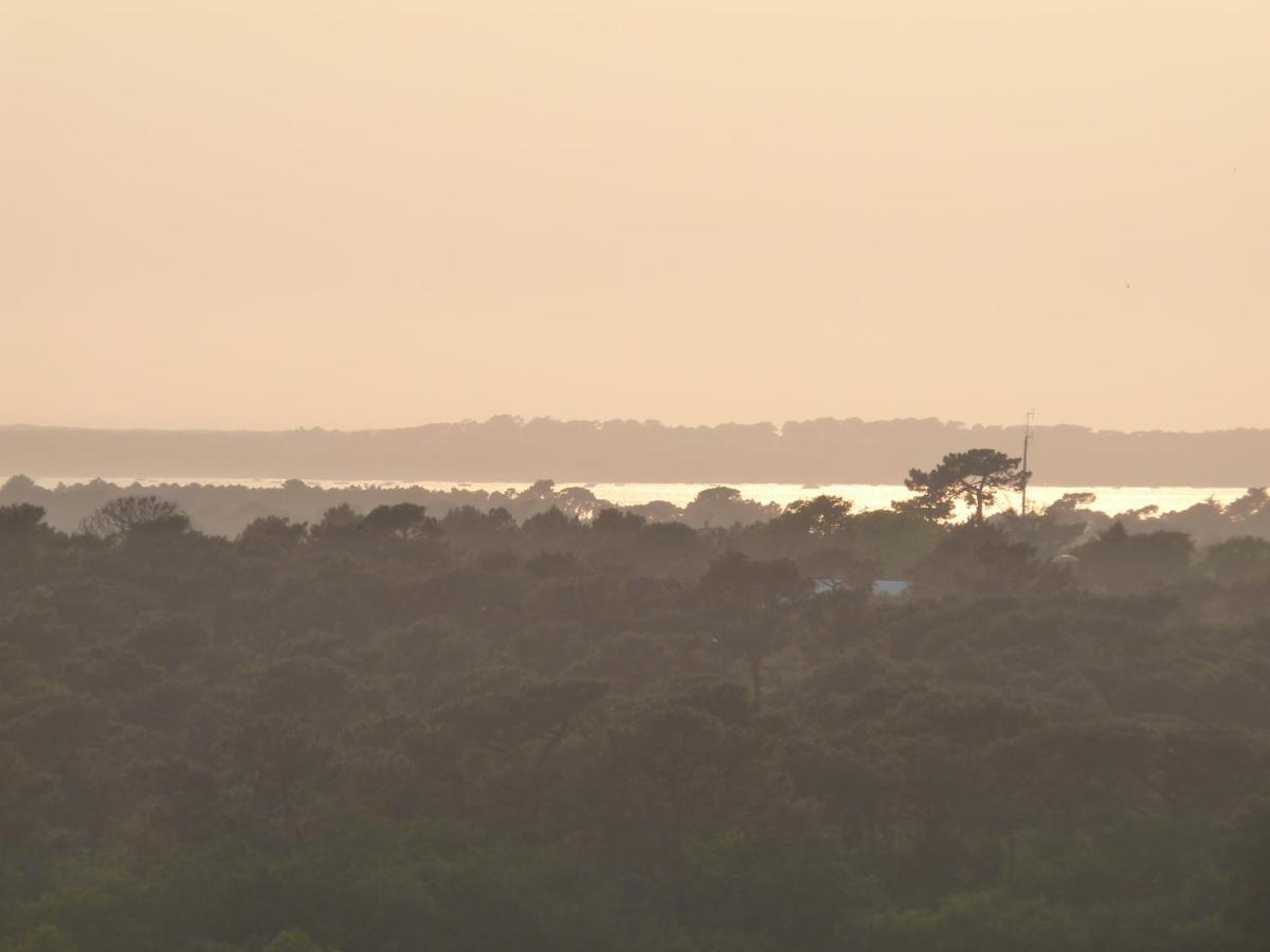 Plein Ciel Vue Bassin Lejlighed Arcachon Eksteriør billede
